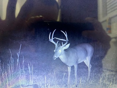 Looking for the perfect land investment, recreation or hunting - photo 23