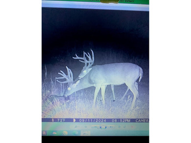 Looking for the perfect land investment, recreation or hunting - photo 24