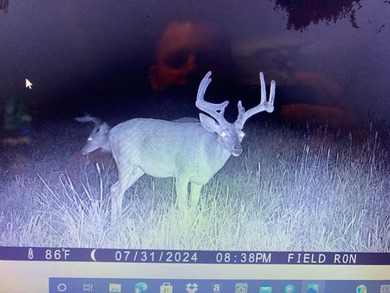 Looking for the perfect land investment, recreation or hunting - photo 25