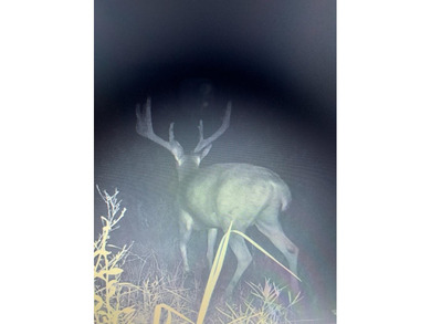 Looking for the perfect land investment, recreation or hunting - photo 26
