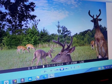 Looking for the perfect land investment, recreation or hunting - photo 27