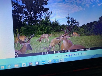 Looking for the perfect land investment, recreation or hunting - photo 28