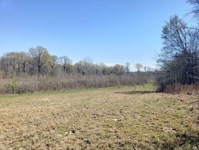 Looking for the perfect land investment, recreation or hunting - photo 29