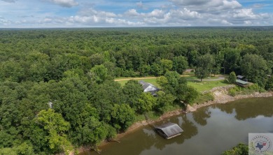 (private lake, pond, creek) Home For Sale in Horatio Arkansas