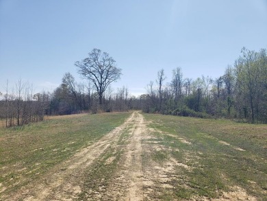 Looking for the perfect land investment, recreation or hunting - photo 32