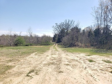 Looking for the perfect land investment, recreation or hunting - photo 34