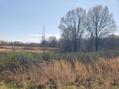 Looking for the perfect land investment, recreation or hunting - photo 38