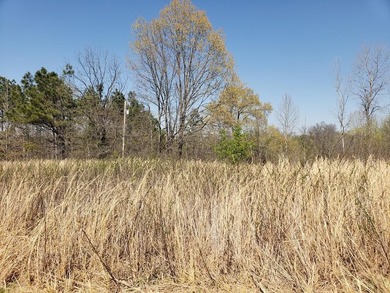 Looking for the perfect land investment, recreation or hunting - photo 39