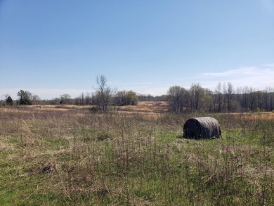 Looking for the perfect land investment, recreation or hunting - photo 40