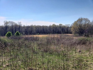 Looking for the perfect land investment, recreation or hunting - photo 42