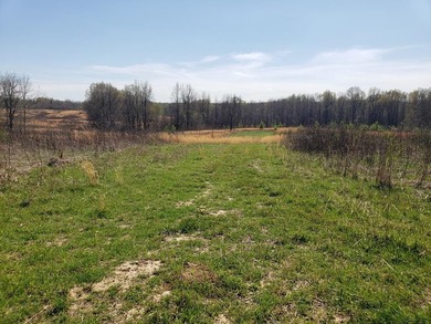 Looking for the perfect land investment, recreation or hunting - photo 44