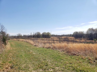 Looking for the perfect land investment, recreation or hunting - photo 45