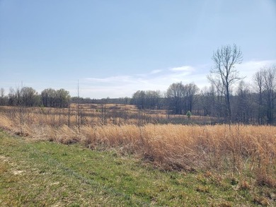 Looking for the perfect land investment, recreation or hunting - photo 46