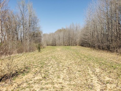 Looking for the perfect land investment, recreation or hunting - photo 48