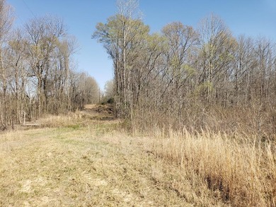Looking for the perfect land investment, recreation or hunting - photo 49