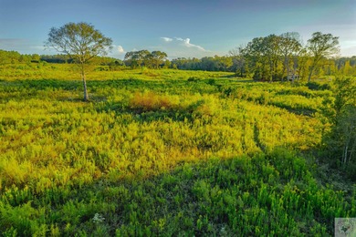 (private lake, pond, creek) Acreage For Sale in Atlanta Texas