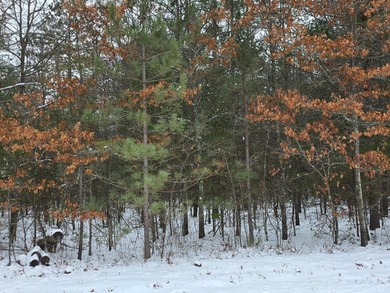 Lake Alice Acreage Sale Pending in Tomahawk Wisconsin
