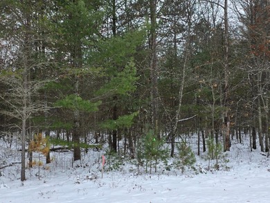 Lake Alice Lot Sale Pending in Wausau Wisconsin