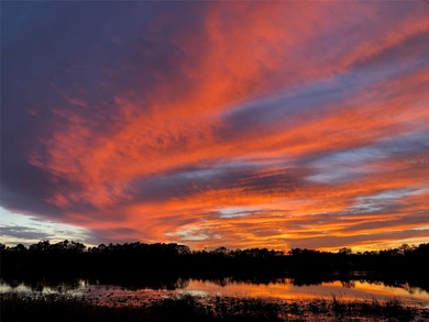 Riley Lake Home For Sale in Hawthorne Florida