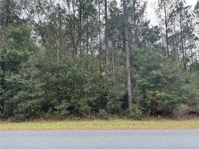 Bonable Lake Lot For Sale in Dunnellon Florida