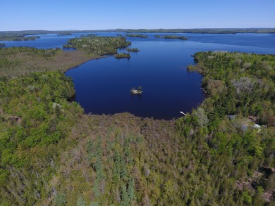 Meddybemps Lake Acreage For Sale in Meddybemps Maine