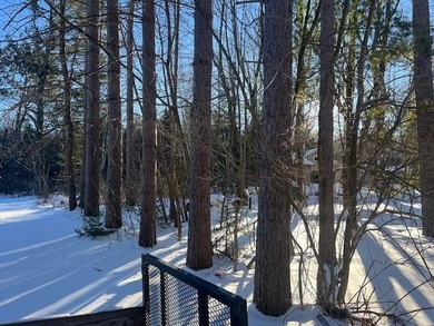 Chain Lake - Oconto County Acreage Active Under Contract in Lakewood Wisconsin