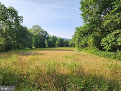 Additional listing photo 4