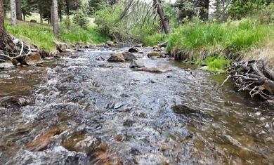 VIDEO TOUR AVAILABLE ON YOUTUBE - SEARCH - *9 ASPEN TRAIL - RED - photo 2