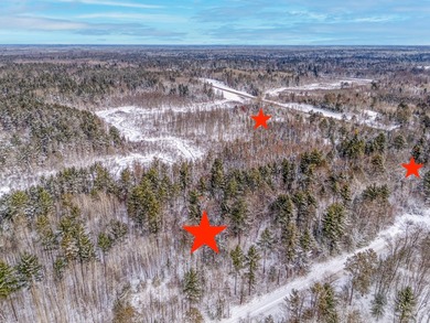 Sale includes two parcels of land totaling 35 acres. HA-385 is - photo 5