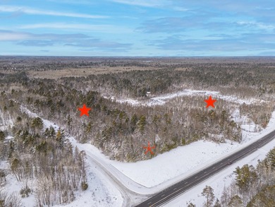 Sale includes two parcels of land totaling 35 acres. HA-385 is - photo 6