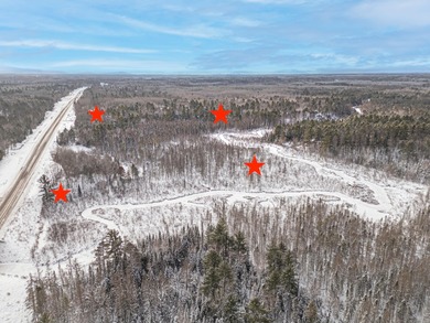 Sale includes two parcels of land totaling 35 acres. HA-385 is - photo 9