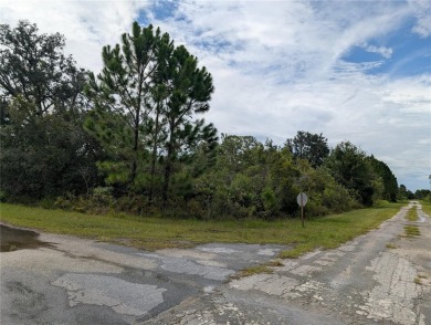 Lake Lot For Sale in Indian Lake Estates, Florida