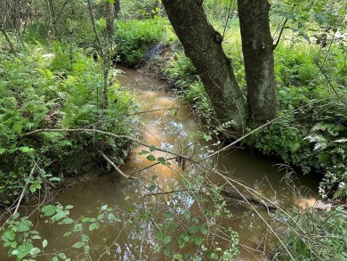 Lake Acreage For Sale in Morganton, Georgia