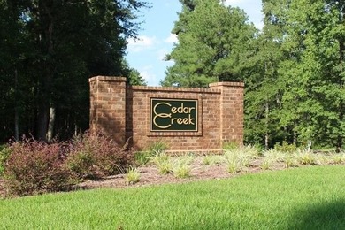 Discover Your Dream Homesite in Cedar Creek! This expansive 0 - photo 1