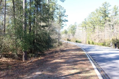 Discover Your Dream Homesite in Cedar Creek! This expansive 0 - photo 3
