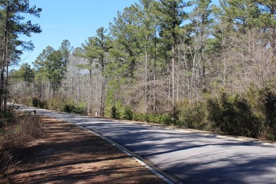 Discover Your Dream Homesite in Cedar Creek! This expansive 0 - photo 4