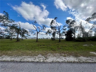 (private lake, pond, creek) Lot For Sale in Placida Florida