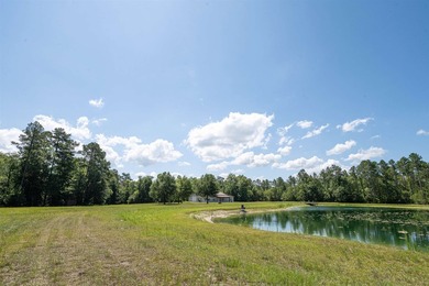 If your own private oasis is what you've been searching for - photo 42