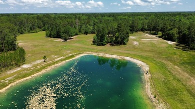If your own private oasis is what you've been searching for - photo 45