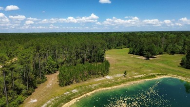 If your own private oasis is what you've been searching for - photo 46