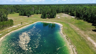 If your own private oasis is what you've been searching for - photo 47