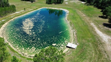 If your own private oasis is what you've been searching for - photo 48