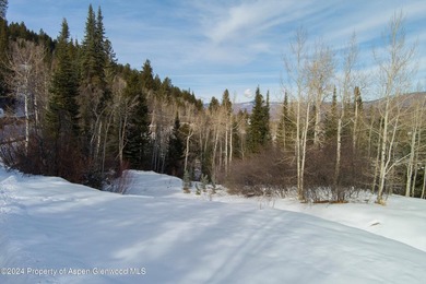 Build your dream mountain retreat on this exceptional vacant lot - photo 21