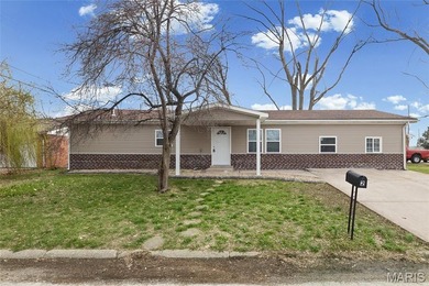 Long Lake - Madison County Home For Sale in Pontoon Beach Illinois