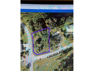 Northport Waterway Lakes and Canals Lot For Sale in North Port Florida