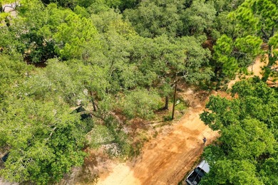 100' x 100' residential lot in Santa Rosa Beach, Florida. No - photo 4