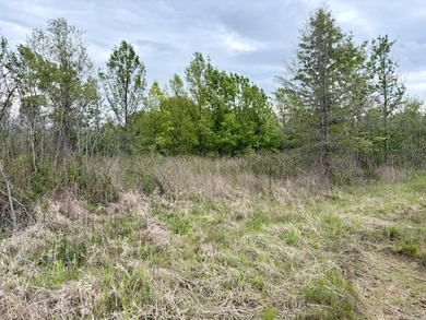 Located near Centerville, Arkansas, this exceptional property - photo 3
