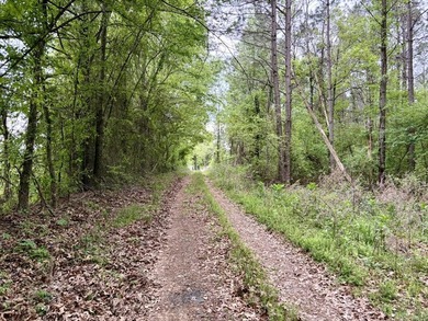 Located near Centerville, Arkansas, this exceptional property - photo 5