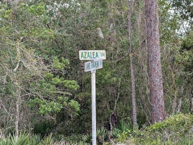 Lake Lot For Sale in Indian Lake Estates, Florida