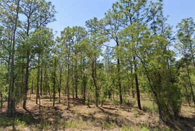 Bonable Lake Lot For Sale in Dunnellon Florida